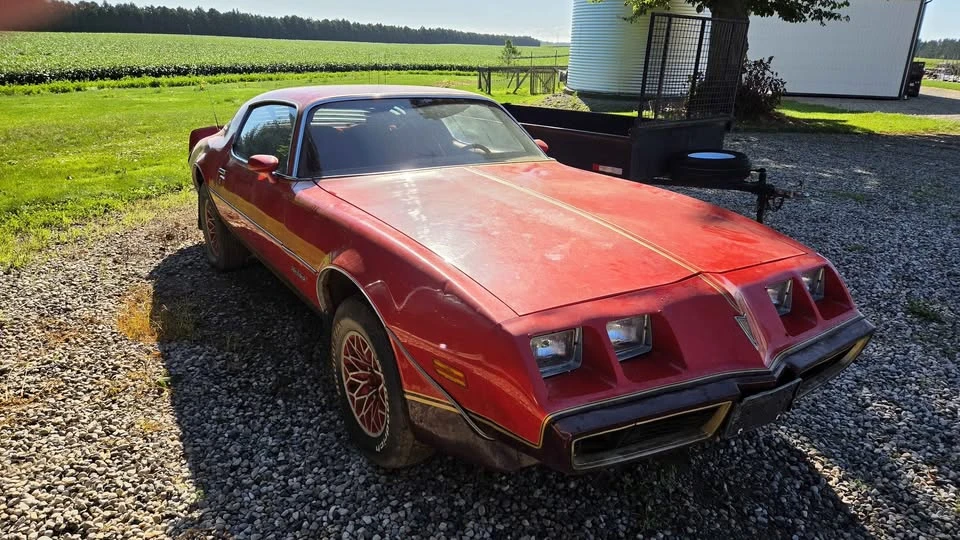 1979 Pontiac Firebird 2nd Gen - Image 3 of 9