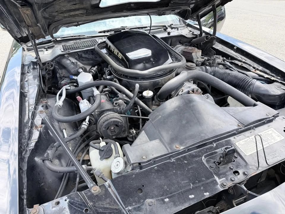 1979 Pontiac Firebird 2nd Gen - Image 17 of 19