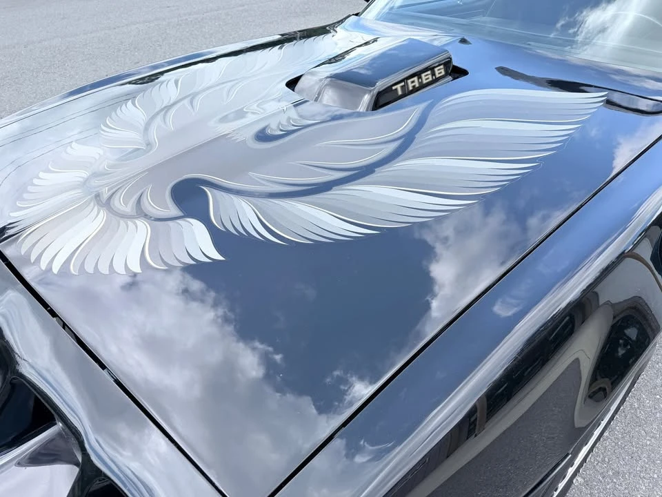 1979 Pontiac Firebird 2nd Gen - Image 6 of 19