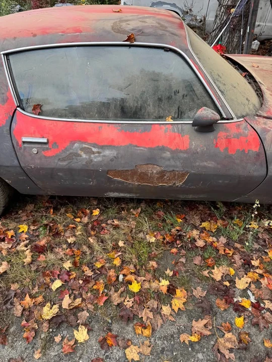 1979 Pontiac Firebird 2nd Gen - Image 4 of 5