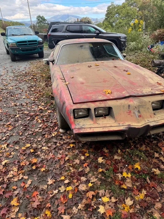 1979 Pontiac Firebird 2nd Gen - Image 3 of 5