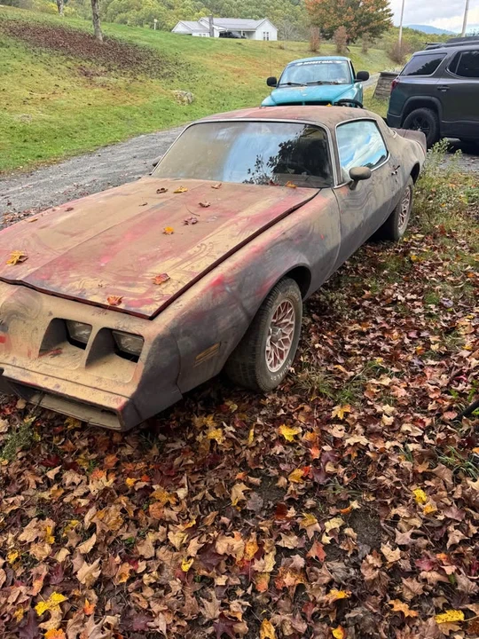 1979 Pontiac Firebird 2nd Gen - Image 2 of 5