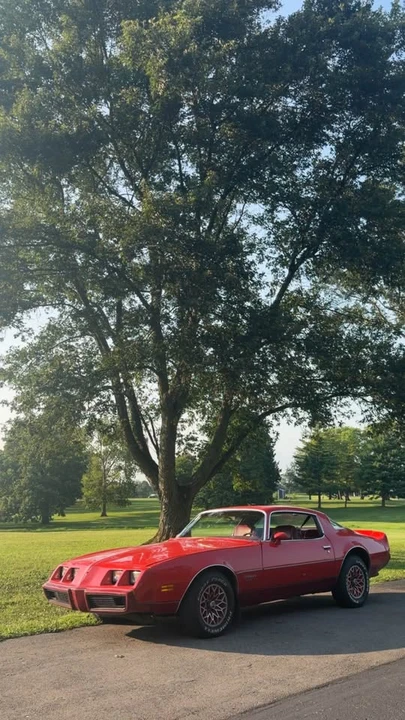 1979 Pontiac Firebird 2nd Gen - Image 17 of 17