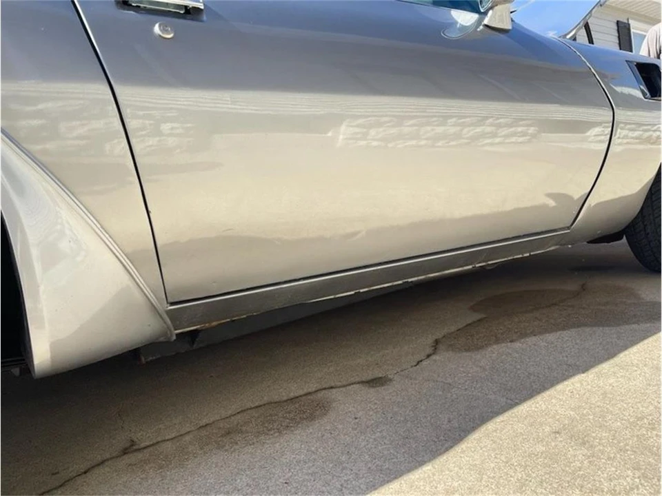 1979 Pontiac Firebird Trans Am 2nd Gen - Image 19 of 20