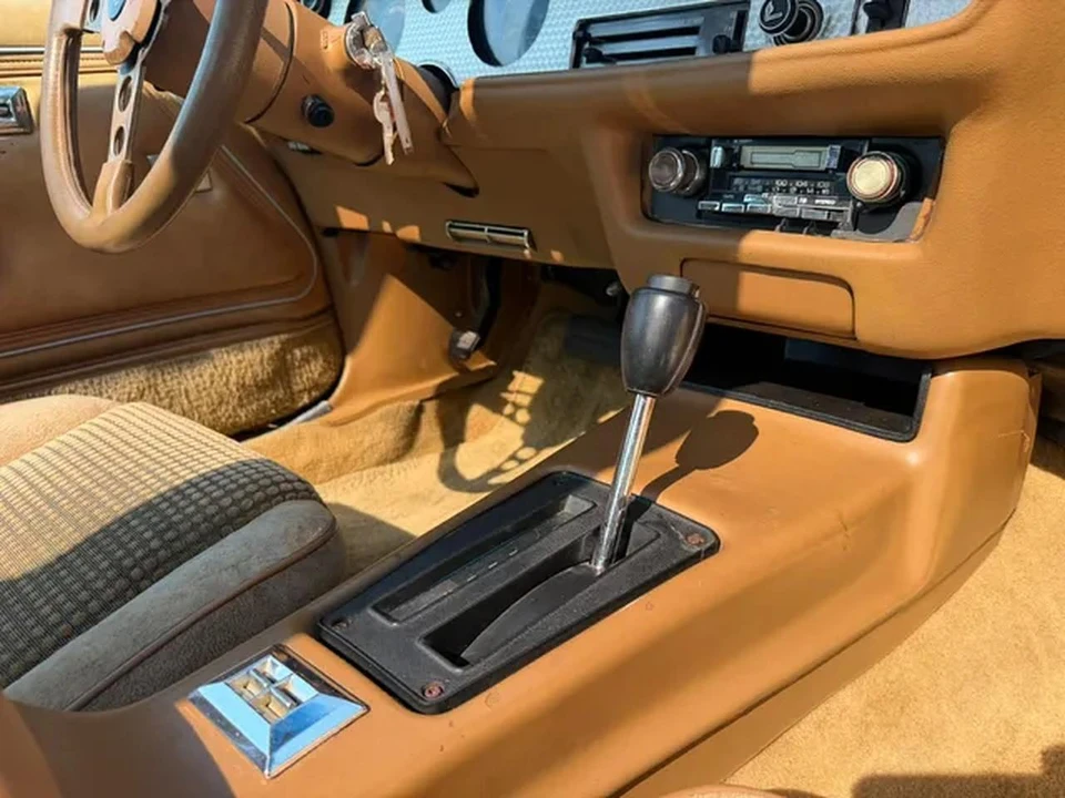 1979 Pontiac Firebird Trans Am 2nd Gen - Image 9 of 11