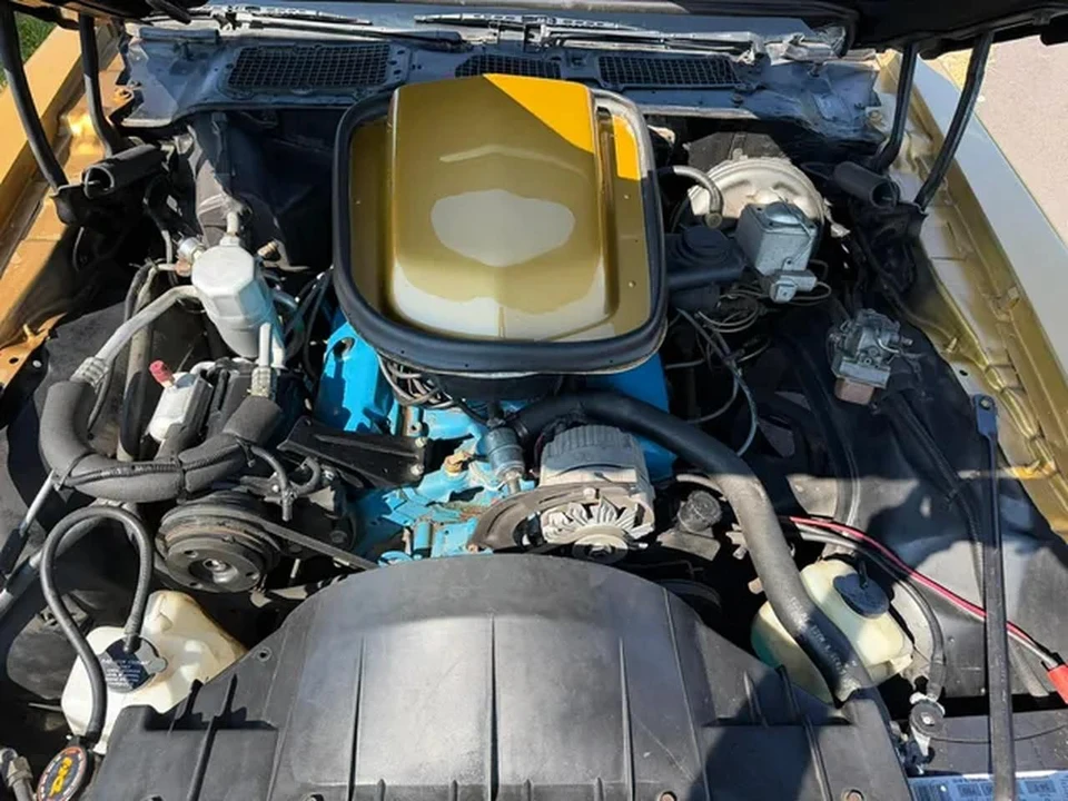 1979 Pontiac Firebird Trans Am 2nd Gen - Image 11 of 11