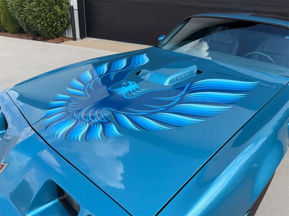 1979 Pontiac Firebird Trans Am 2nd Gen - Image 11 of 31