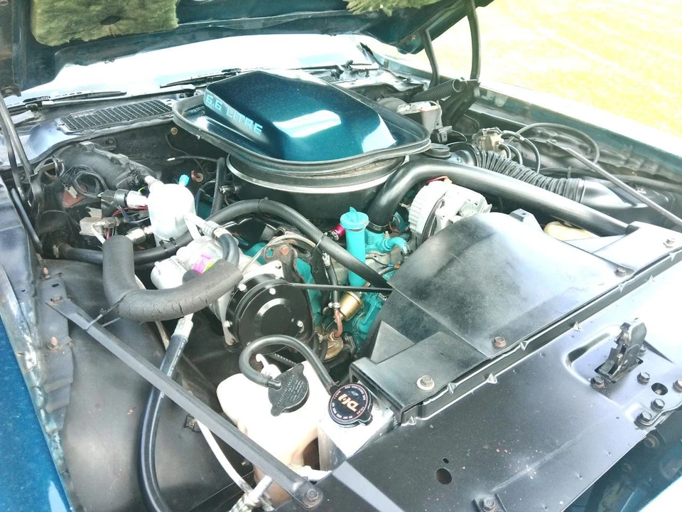 1979 Pontiac Firebird Trans Am 2nd Gen - Image 20 of 20