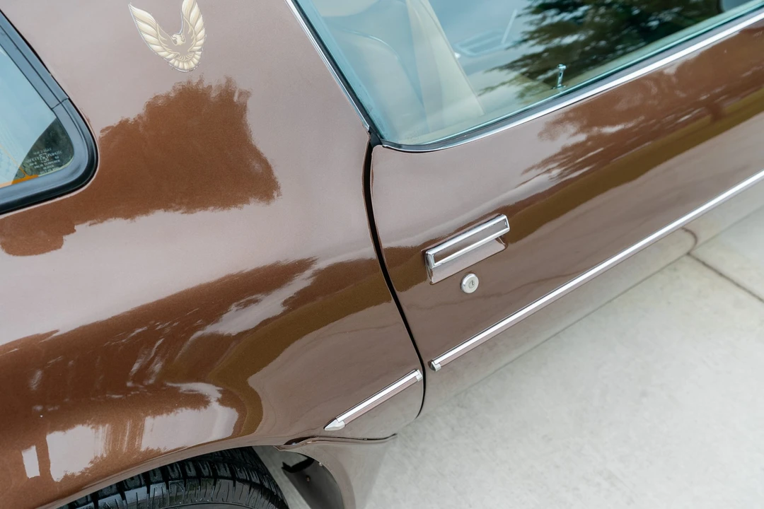 1979 Pontiac Firebird Trans Am 2nd Gen - Image 18 of 31
