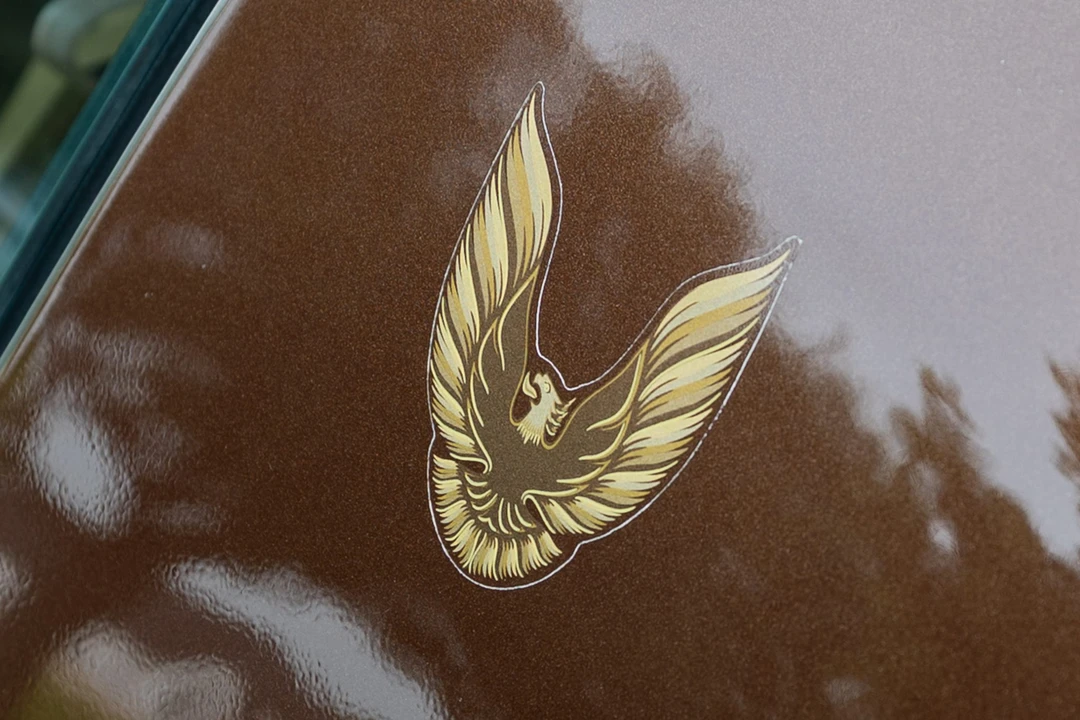 1979 Pontiac Firebird Trans Am 2nd Gen - Image 30 of 31