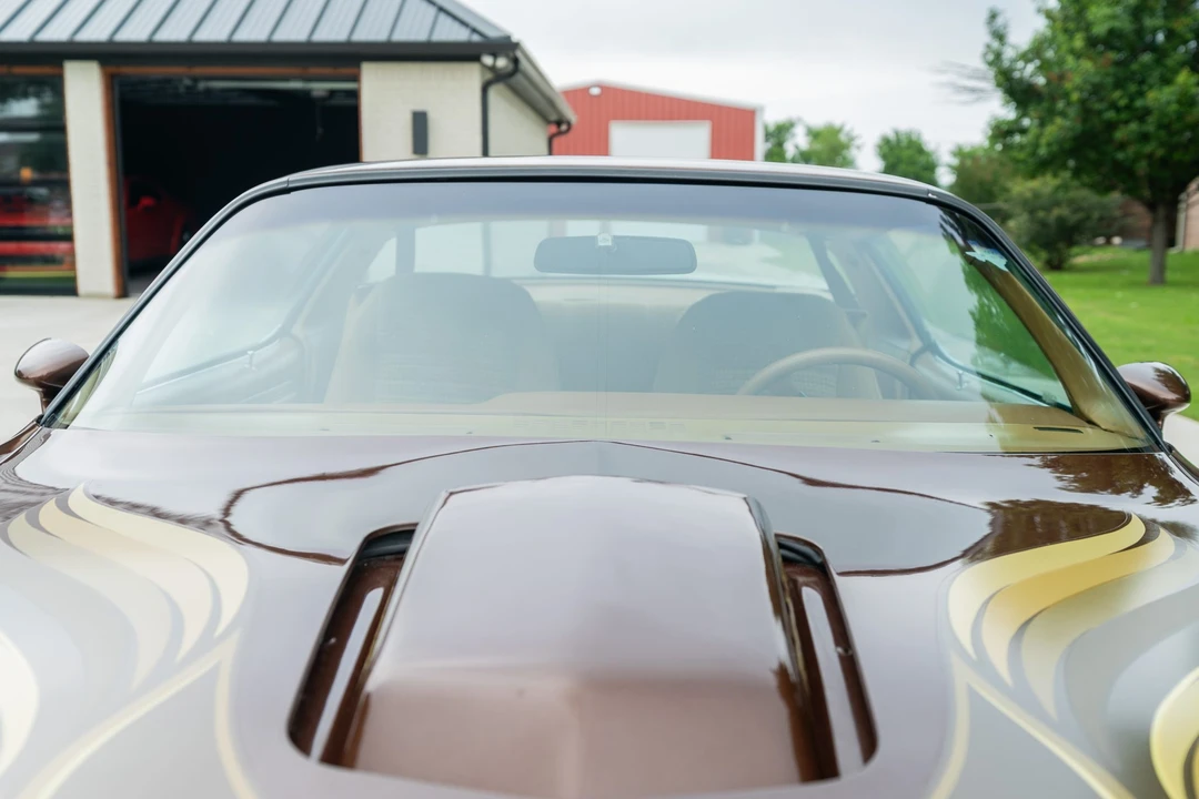 1979 Pontiac Firebird Trans Am 2nd Gen - Image 14 of 31