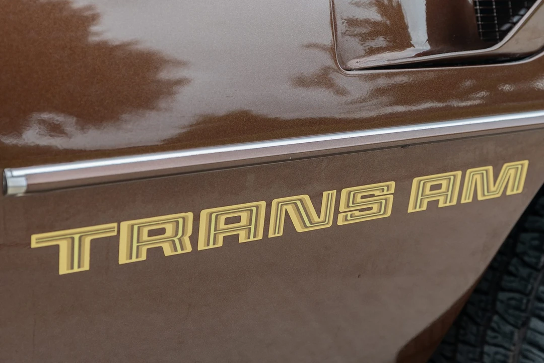 1979 Pontiac Firebird Trans Am 2nd Gen - Image 17 of 31