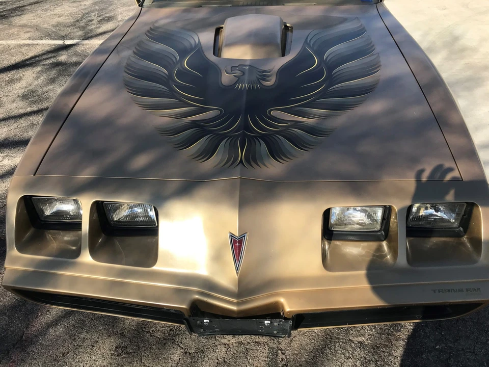1979 Pontiac Firebird Trans Am 2nd Gen - Image 30 of 31