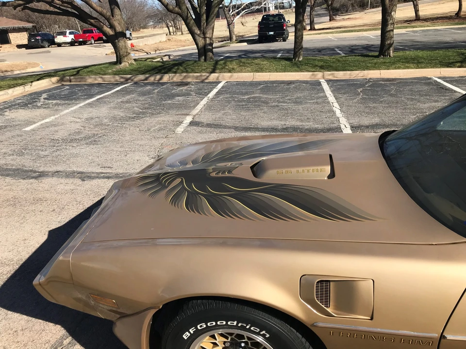 1979 Pontiac Firebird Trans Am 2nd Gen - Image 19 of 31