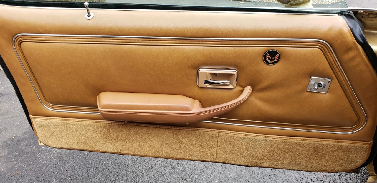 1979 Pontiac Firebird Trans Am 2nd Gen - Image 30 of 31
