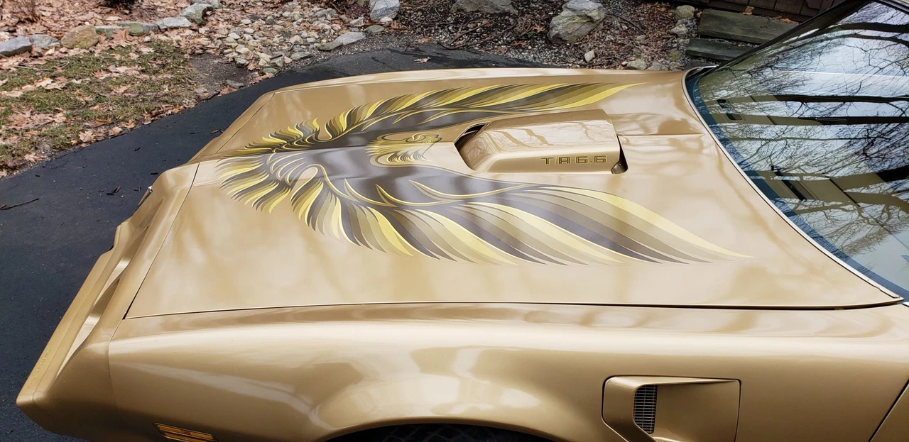 1979 Pontiac Firebird Trans Am 2nd Gen - Image 22 of 31