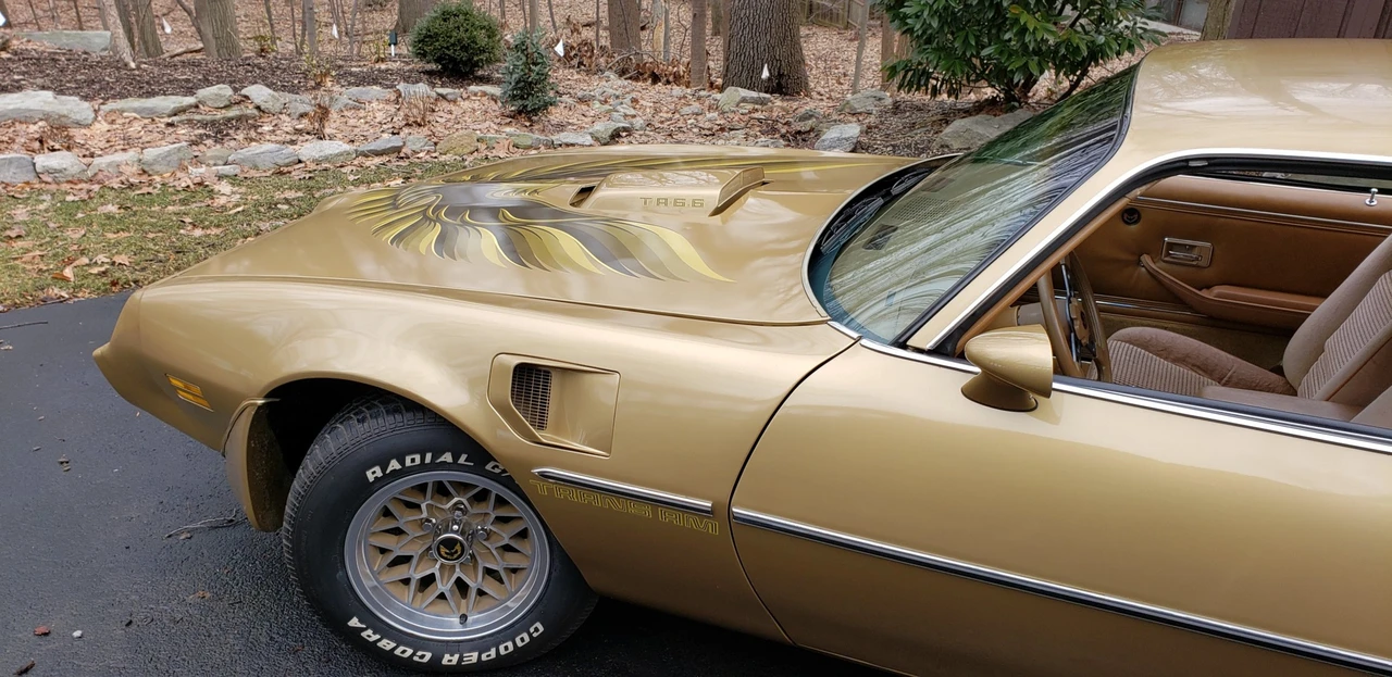 1979 Pontiac Firebird Trans Am 2nd Gen - Image 21 of 31