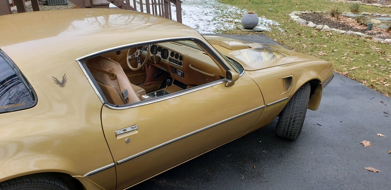 1979 Pontiac Firebird Trans Am 2nd Gen - Image 18 of 31