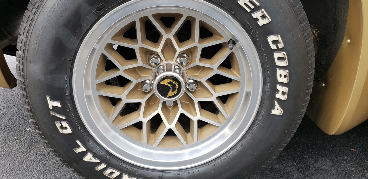 1979 Pontiac Firebird Trans Am 2nd Gen - Image 27 of 31