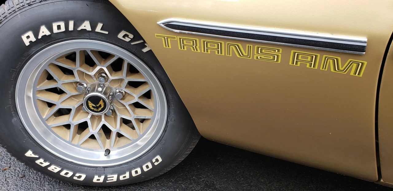 1979 Pontiac Firebird Trans Am 2nd Gen - Image 20 of 31