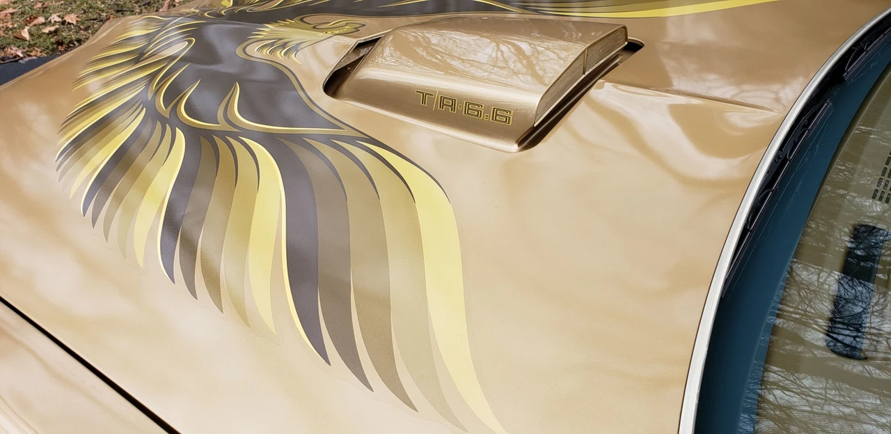 1979 Pontiac Firebird Trans Am 2nd Gen - Image 26 of 31