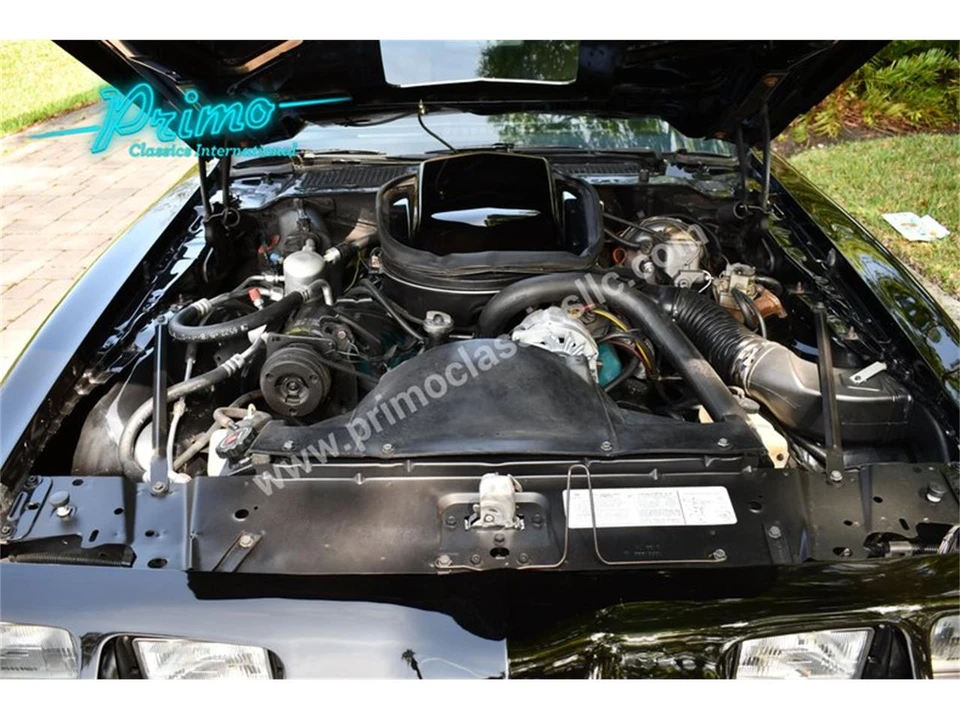 1979 Pontiac Firebird Trans Am 2nd Gen - Image 8 of 31