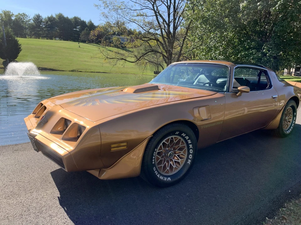 1979 Pontiac Firebird Trans Am 2nd Gen - Image 15 of 31
