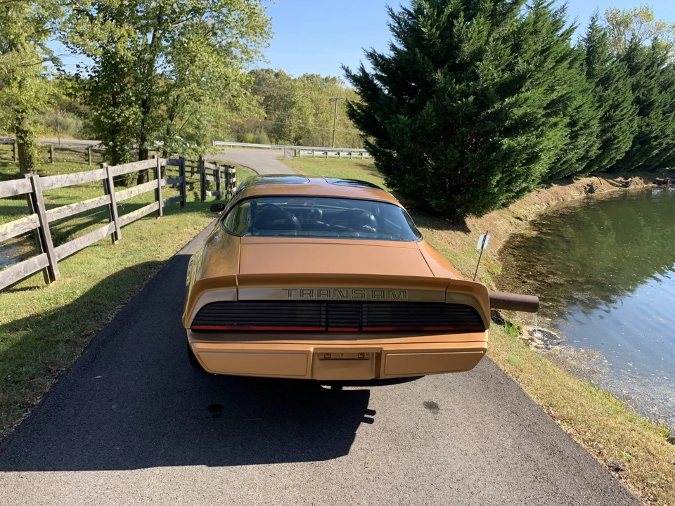 1979 Pontiac Firebird Trans Am 2nd Gen - Image 10 of 31