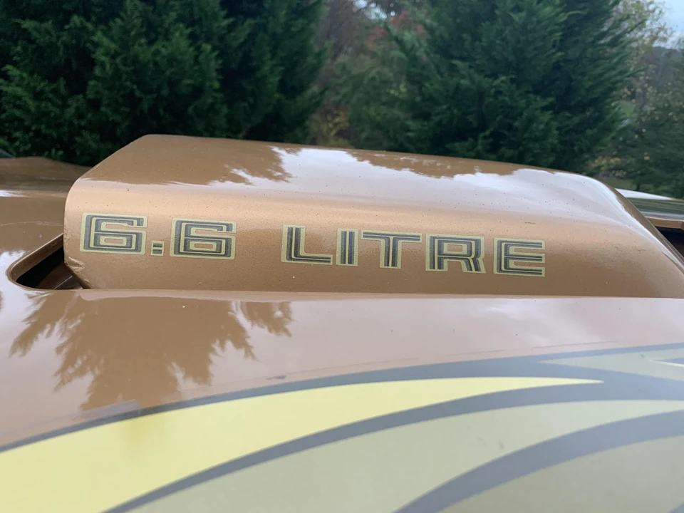 1979 Pontiac Firebird Trans Am 2nd Gen - Image 21 of 31