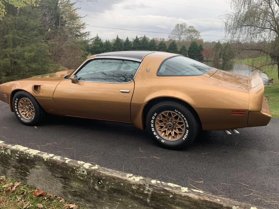 1979 Pontiac Firebird Trans Am 2nd Gen - Image 13 of 31