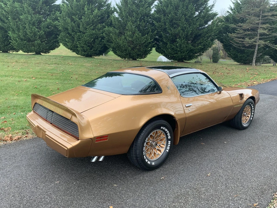 1979 Pontiac Firebird Trans Am 2nd Gen - Image 8 of 31