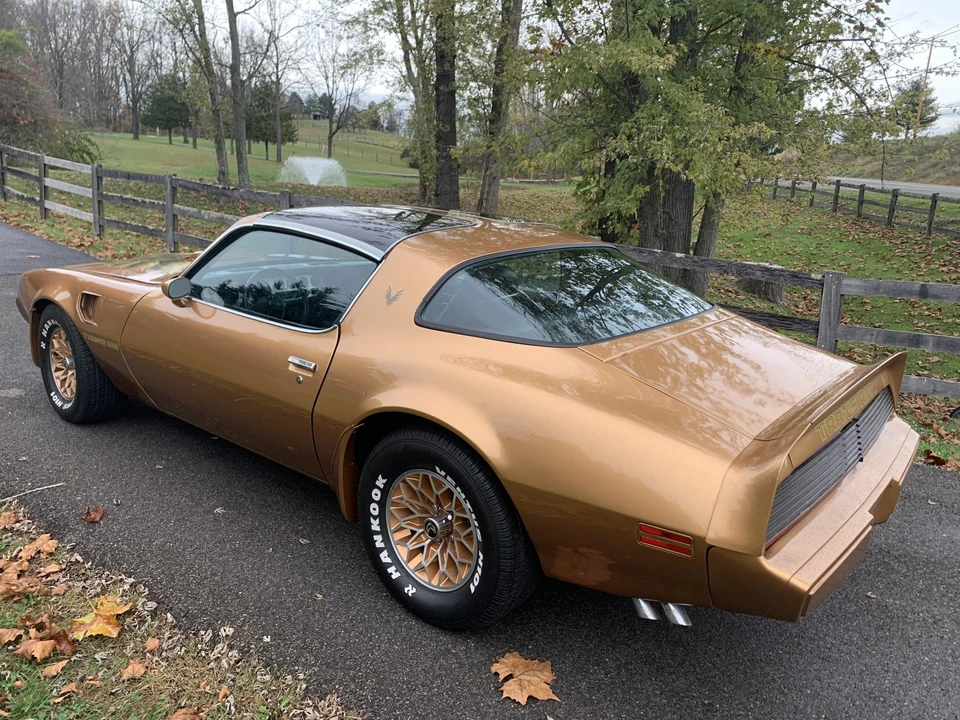 1979 Pontiac Firebird Trans Am 2nd Gen - Image 11 of 31