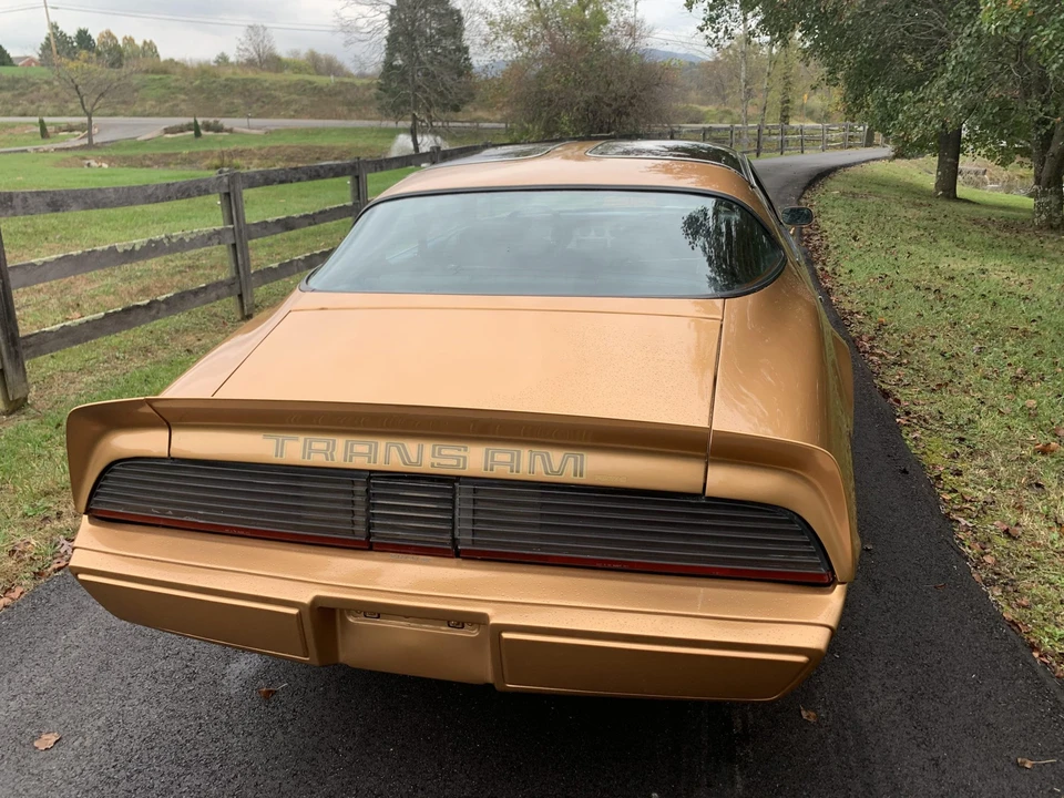 1979 Pontiac Firebird Trans Am 2nd Gen - Image 9 of 31