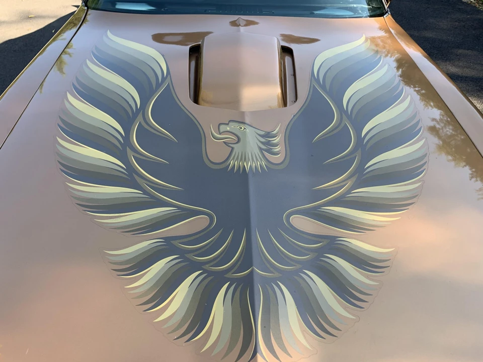 1979 Pontiac Firebird Trans Am 2nd Gen - Image 20 of 31