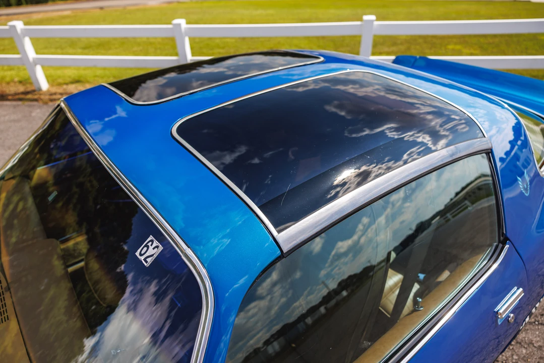 1979 Pontiac Firebird Trans Am 2nd Gen - Image 31 of 31