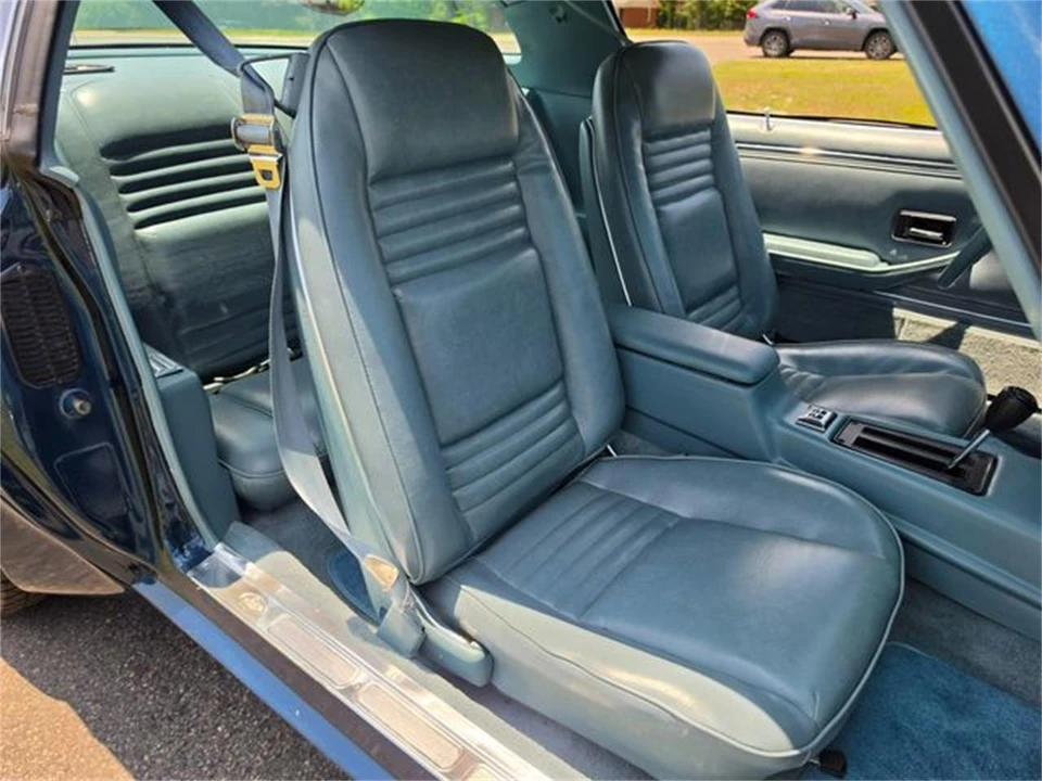 1979 Pontiac Firebird Trans Am 2nd Gen - Image 31 of 31
