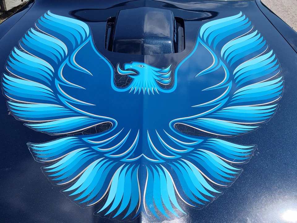 1979 Pontiac Firebird Trans Am 2nd Gen - Image 25 of 31
