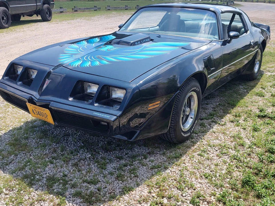 1979 Pontiac Firebird Trans Am 2nd Gen - Image 8 of 31