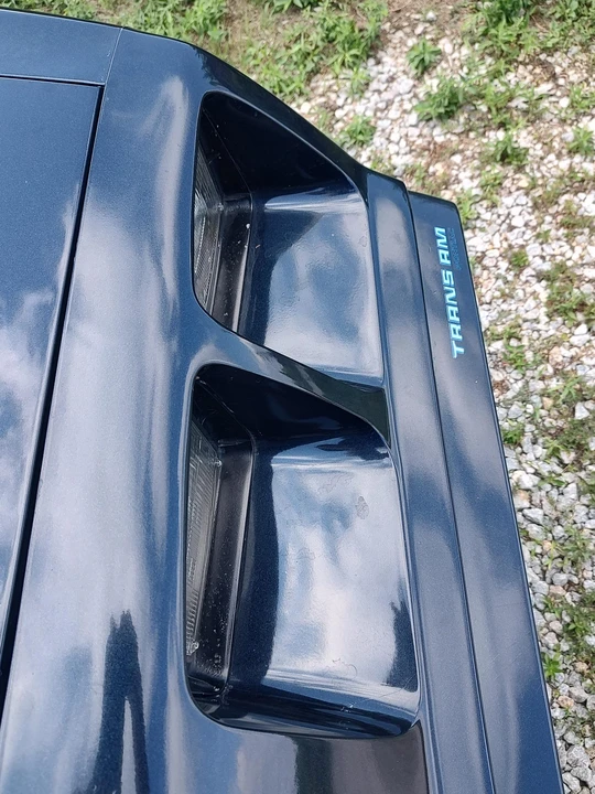 1979 Pontiac Firebird Trans Am 2nd Gen - Image 31 of 31
