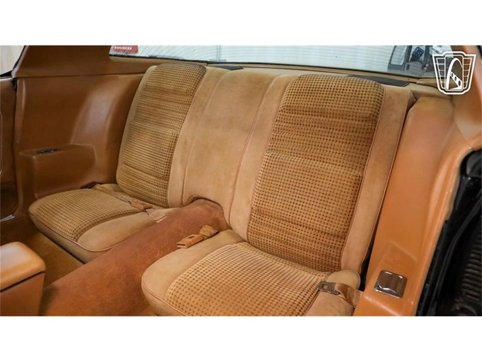 1979 Pontiac Firebird Trans Am 2nd Gen - Image 21 of 31