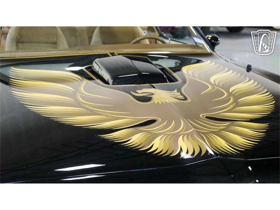 1979 Pontiac Firebird Trans Am 2nd Gen - Image 9 of 31
