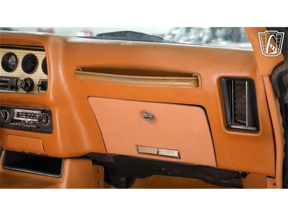 1979 Pontiac Firebird Trans Am 2nd Gen - Image 19 of 31