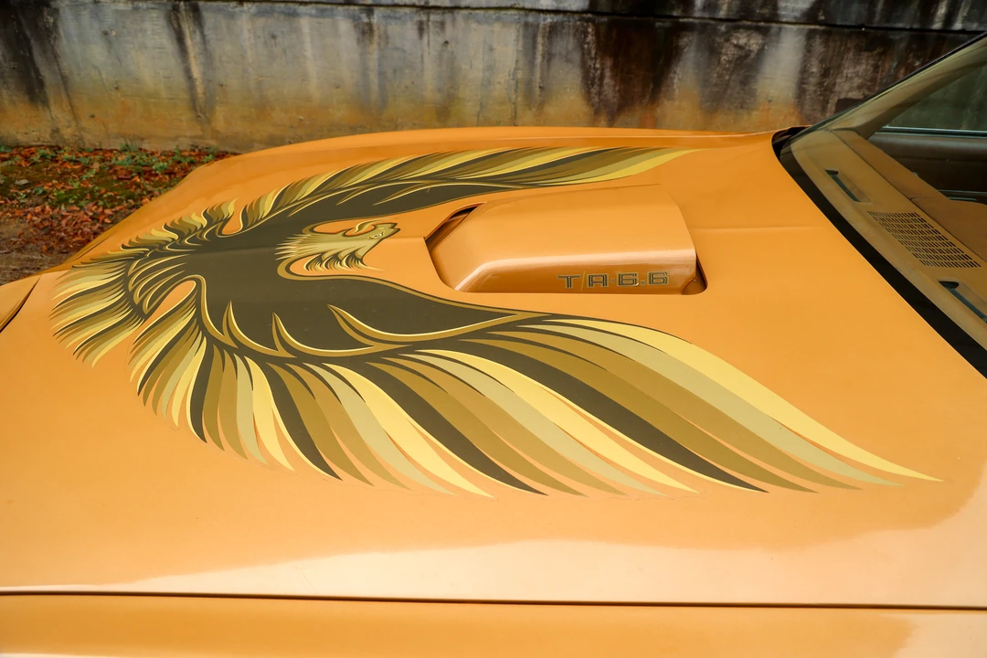 1979 Pontiac Firebird Trans Am 2nd Gen - Image 31 of 31