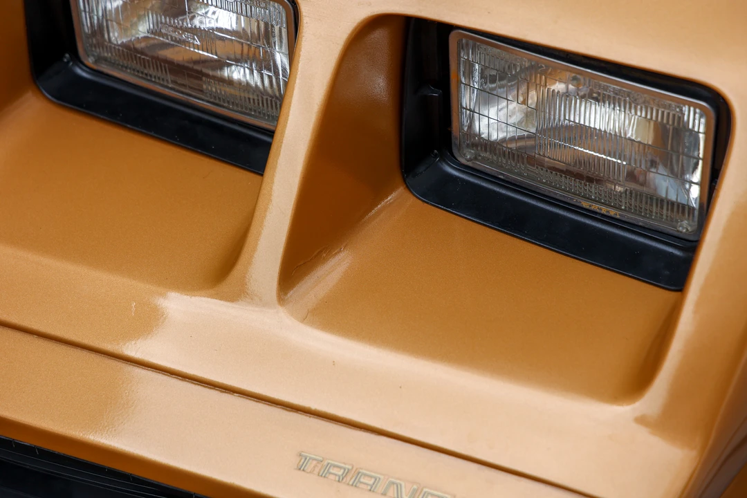 1979 Pontiac Firebird Trans Am 2nd Gen - Image 19 of 31