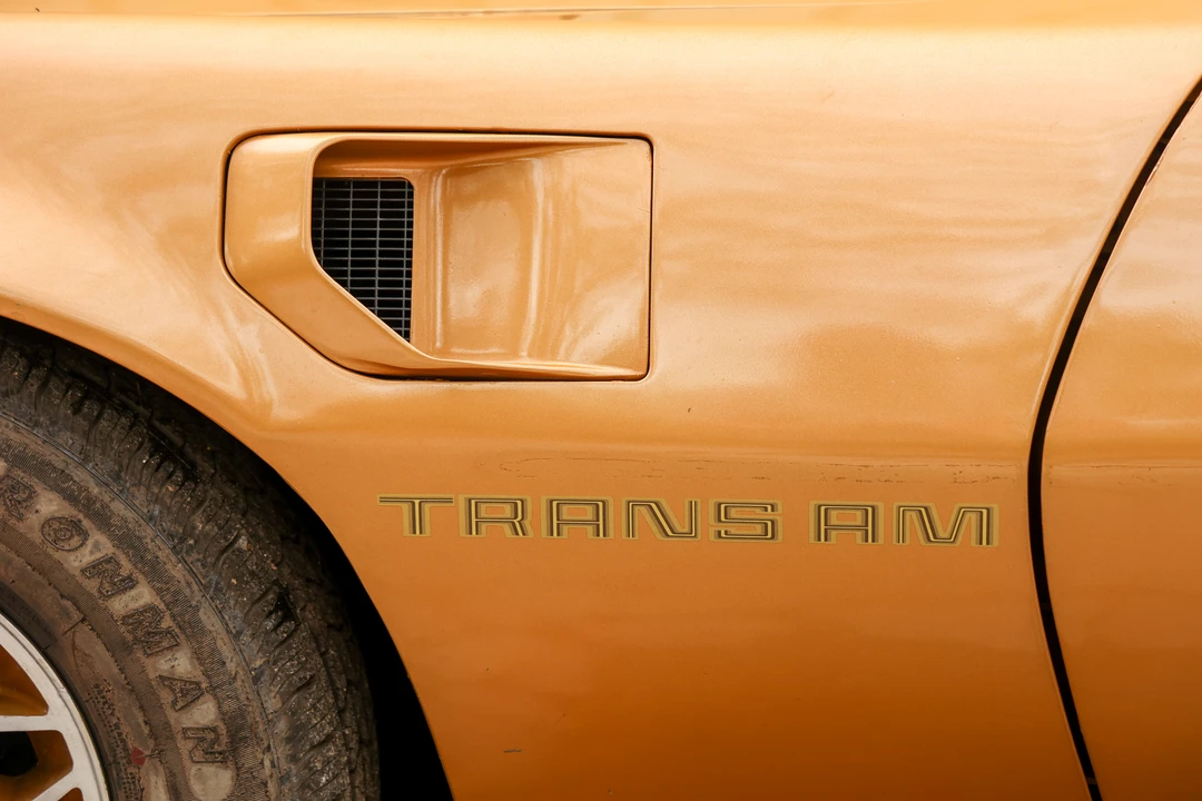 1979 Pontiac Firebird Trans Am 2nd Gen - Image 29 of 31