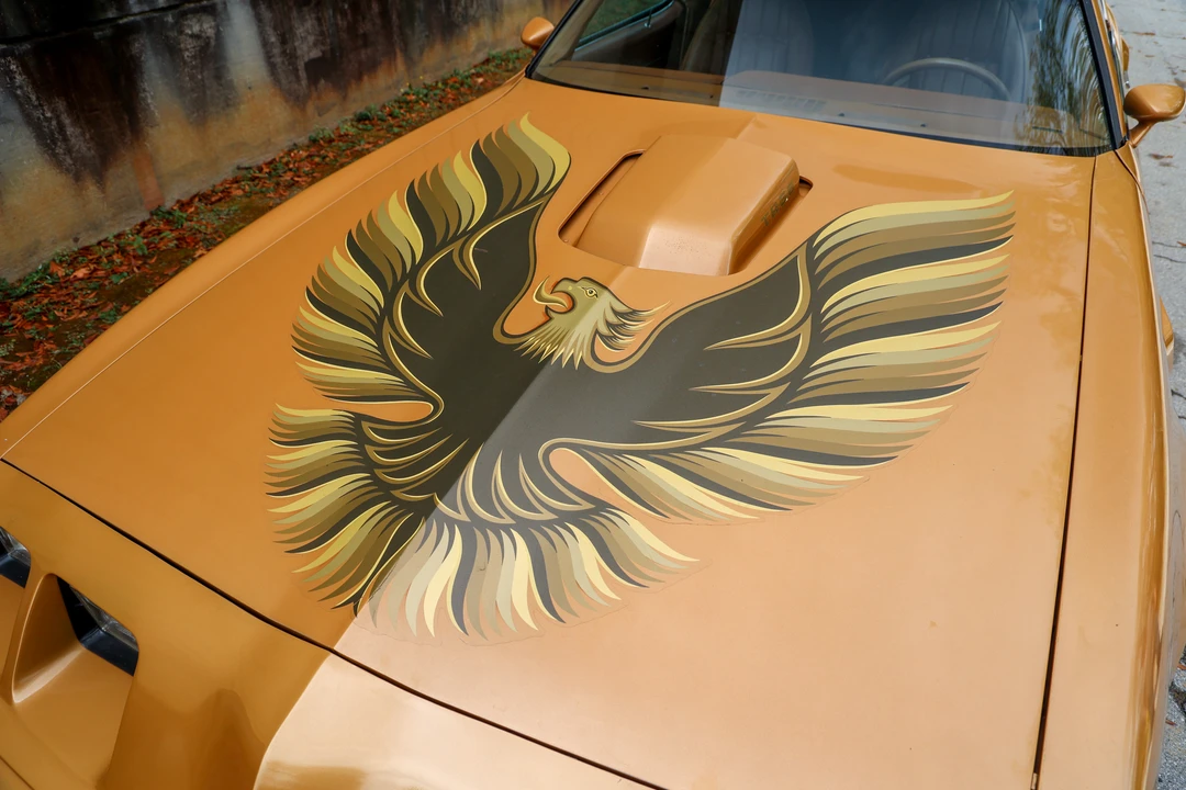 1979 Pontiac Firebird Trans Am 2nd Gen - Image 18 of 31