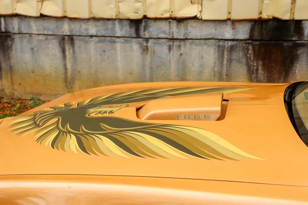 1979 Pontiac Firebird Trans Am 2nd Gen - Image 30 of 31