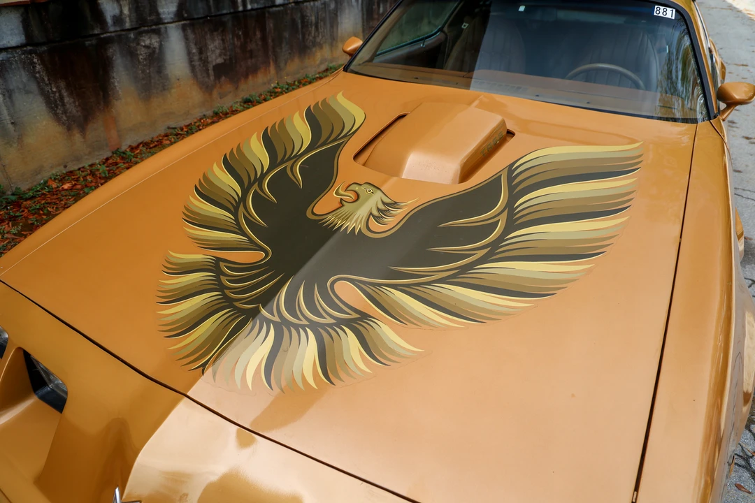 1979 Pontiac Firebird Trans Am 2nd Gen - Image 17 of 31