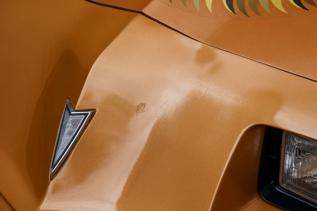1979 Pontiac Firebird Trans Am 2nd Gen - Image 20 of 31