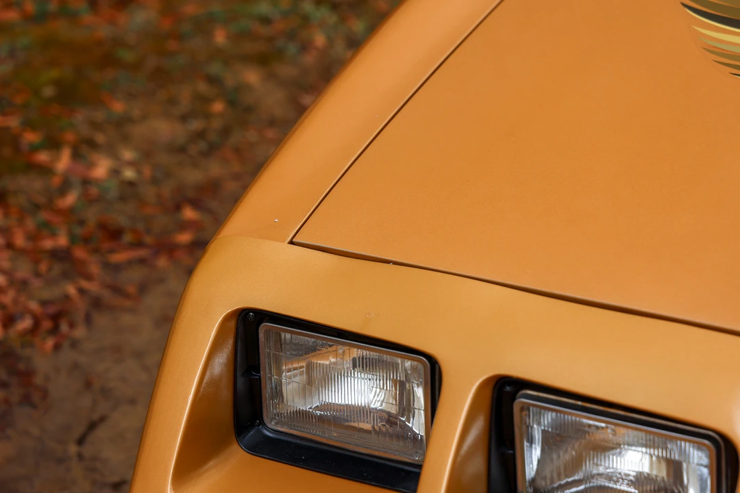 1979 Pontiac Firebird Trans Am 2nd Gen - Image 21 of 31